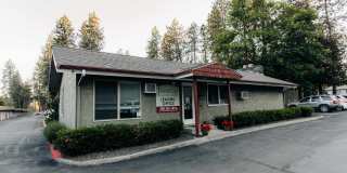 Treetop Gallery 5
