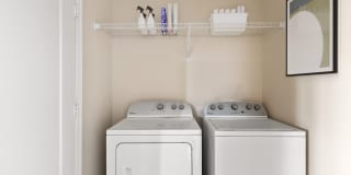 The Point at Town Center Gallery 9