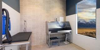 Homecoming at Kiley Ranch Gallery 21