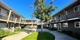 Towne Centre at Orange Gallery 15