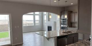 Beautiful Banning Lewis Ranch 5 Bed, 4 Bath Home, 3 Car garage, Great Views and Amenities Gallery 10