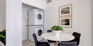 Ferrante Ferrante Gallery 115