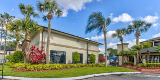 Cypress Run Gallery 8