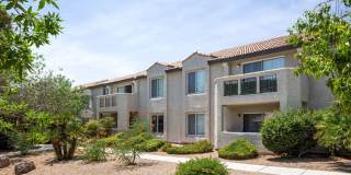 Sahara West Gallery 20