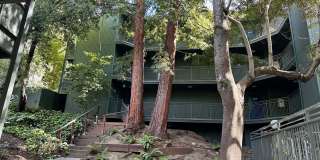 Bright Furnished 1BD/1BA Near UC Berkeley – Quiet, Updated  Move-In Ready Gallery 1