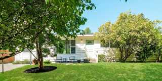 Warm and Welcoming 3 Bedroom in Prime Seattle Location Gallery 1