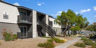 SITE Fifty55 Gallery 20