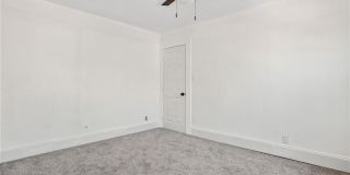 869 Rugby Street Gallery 6