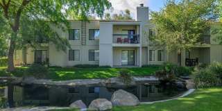 Edgewater Gallery 43