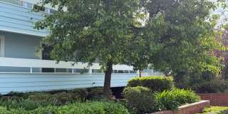 Beautifully Renovated 2 + 2.5 Santa Monica Condo townhouse Gallery 23