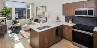Broadstone Vega Gallery 19