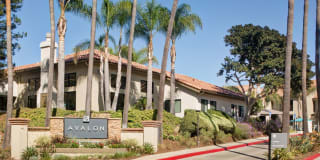 Avalon La Jolla Colony Gallery 38
