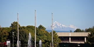 Springwater Crossing Gallery 49