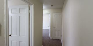 Treehaven Apartments Gallery 41