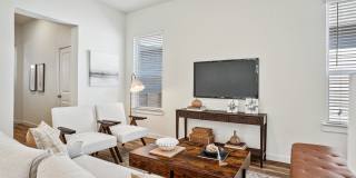 Canvas at Anna Gallery 7