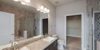 Allure Hermann Park Gallery 103