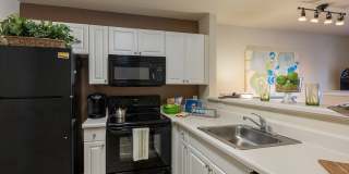 Chesterfield Gardens Gallery 7