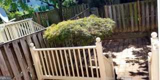 464 WINDING ROSE DR Gallery 33
