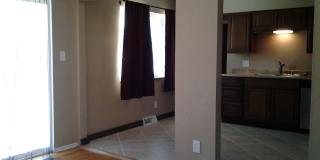 Great Home in Central Ft. Collins Gallery 5