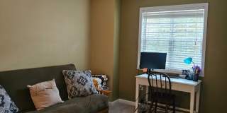 WOW! GORGEOUS HOME WITH ATTENTION TO DETAIL/ POPULAR ARBOR CROSSING SUBDIVSION/ CHAPEL HILL SCHOOLS Gallery 35