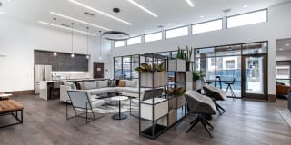 The Avante Gallery 41