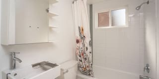 805 Dahlia Gallery 25
