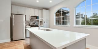 Slate at Cole Gallery 12