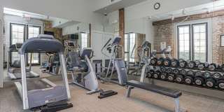 Josephine Lofts Gallery 14