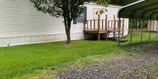 Country Living Gallery 1