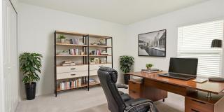 2053 ALBATROSS NEST DRIVE Gallery 37