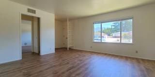 Single-Story 2-Bedroom Home in the Charming Sunparks II 55+ HOA! Gallery 4