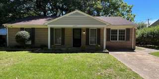Renovated 3 Bedroom 1 Bath Home for Rent! Gallery 1