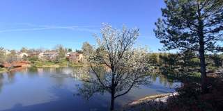 Beautiful Lakefront Home in the Vineyard! 55+ community Gallery 70