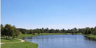 224 Park Crest Run, Chelsea AL 35043 Gallery 45