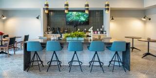 The Samford Glenn Gallery 19