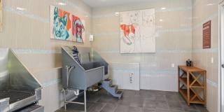 The Lotus at Starkey Ranch Gallery 39