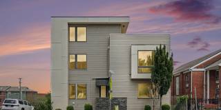 Newly Renovated Condominium Gallery 26