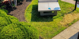 Tanglewood Apartments Gallery 8