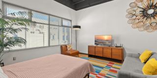 505 Central Gallery 12
