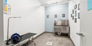 The Point on 38th Gallery 19