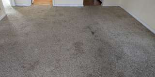 806 S Saville St (PRICE REDUCED)! Gallery 1