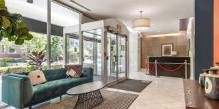 The Statesman Gallery 7