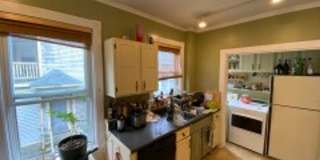 NEU 4 BR Apartment (in unit laundry!)- NO FEE - 9/1 Gallery 8