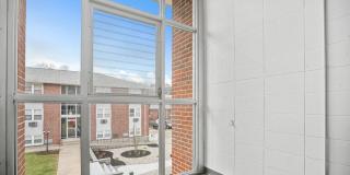 The Belmore Gallery 24