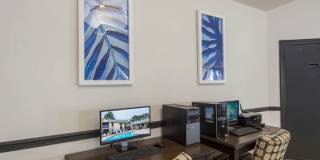 The Lory of Panama City Gallery 15