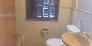 12311 Laing Gallery 1