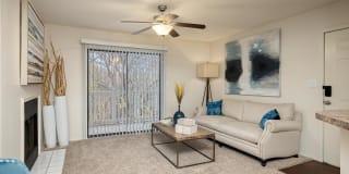 Hampton Woods Gallery 3