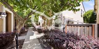1583 Sylvia Street Gallery 42