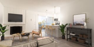 Ocean Club Gallery 21