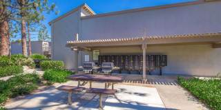 Eastwood Apartment Homes Gallery 12